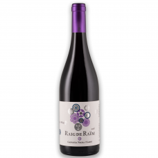 Celler Piñol Raig de Raïm Terra Alta DO 2019