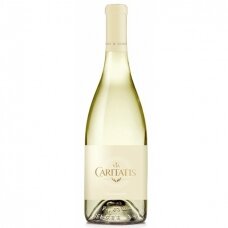 Via Caritatis Chardonnay IGP Méditerranée