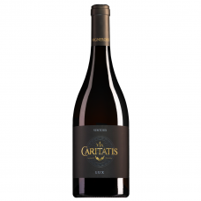 Via Caritatis Lux Excelsior Côtes du Ventoux Rouge AOP 2020